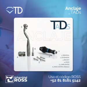 Anclaje TADs
