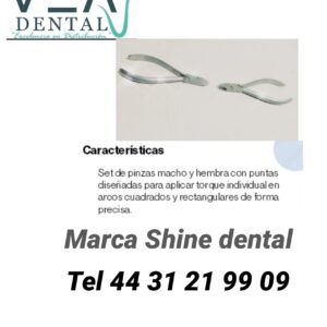 Pinzas macho y hembra Shine